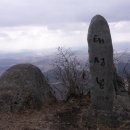 고향애