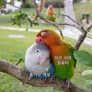 새로컴퓨터
