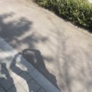 두리세탁소 이미지