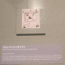 건국터미널 | 2025 국립전주박물관 특별전 &lt;대한국인 안중근 쓰다&gt; 관람 후기(곧은 인격과 올곧은 글씨)