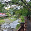 내장 신선교 이미지