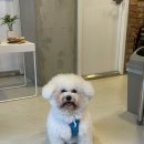 치킨클럽 이미지