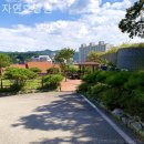 백옥대로587번길 | 용인 요양원 자연요양원 전반적 후기