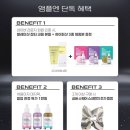 (주)힛앤컷(1종) | 1주차 성수동 팝업스토어 일정 정리(코쿤 사적인 커피 작업실, 비오레, 앰플엔, 루미르, 이즈앤트리 외)
