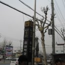 러빙헛 채식부페 이미지