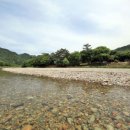 돌배야영장(제2야영장) 이미지