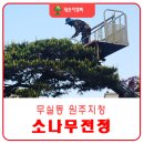 태산조경건설 이미지