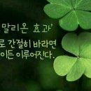 가현빌딩 이미지