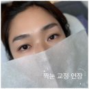 더래쉬뷰티