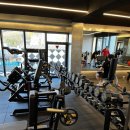 M피트니스 이미지