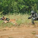 수원-남부-103 이미지