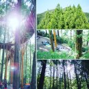 장태산휴양림 이미지