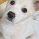 진희농장 이미지