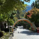 낙성대 둘레길 화장실 | 서울 숨은 단풍명소 낙성대 안국사 강아지랑 애견동반 산책코스 추천