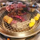 돈부귀 티스토리