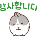 봉암동252 이미지