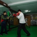 엘리트 충남종합복싱체육관 이미지