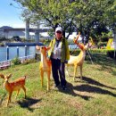 추억카페 이미지