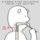 일공이구 네이버블로그