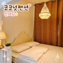 뻘펜션 | 선재도 펜션 뻘다방 걸어서 갈 수 있는 리틀미코노스 코코넛펜션