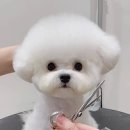 멈미스 이미지