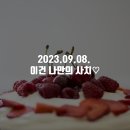 사치난다