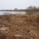 두물머리공원 맞은편 이미지