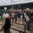 호박관광나이트(호텔나이트) | 싱가포르 밤여행 No1 나이트사파리 입장시간 예약 대중교통