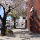 경북대 서문교차로 이미지