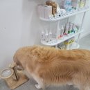광주대로224번길 네이버블로그