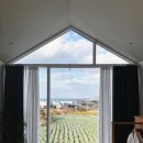 판포따숨 이미지