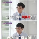노하우스 이미지