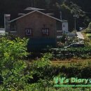 웅비민박 이미지