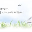 신한카센터 이미지