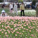 낙동강관리본부 화명생태공원 12 이미지