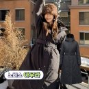 대림명품세탁 | 요즘 없어서 못산다는 노비스 아우라 가격 및 구매팁