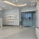 유동물병원(출장진료전문병원) | 수원 눈이튼튼동물병원/백내장 재검사/ 안약 처방/수술 고민/ 펫퍼민트 보험청구