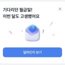 네일잼 이미지