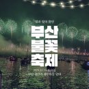 보령해사 행정사무소 | &#34;술 사줄게&#34; 친구 따라간 2024 광안리 불꽃축제 요트 후기 (2025년 꿀팁 포함)