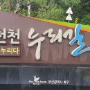 화명대천천 이미지