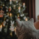 압구정연치과의원 이미지