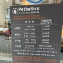 펫바스로 동탄 이미지