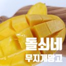 돌쇠네 무지개 망고 먹어본 후기, 골드랑 함께한 달콤한 하루