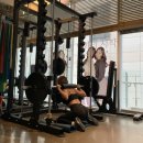 릴리(Lily) 이미지