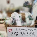 우산공원2 | 부산시민공원꽃집 플라워브리 마음에 들었던 축하꽃다발 후기