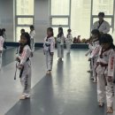 위례 용인대타이곤태권도장 이미지