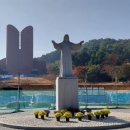 남양조경 이미지