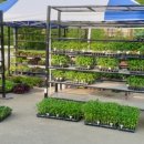 청남주유소 이미지