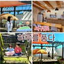 하루를 품다 | 🌟제주 서귀포 키즈펜션 제주도 여행 독채 가족 숙소 풀빌라 ✨️하루를 품다 펜션✨️