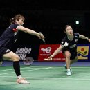 티나코리아 이미지